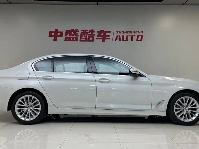 BMW 5 Series 2020 530Li xDrive Luxury Package фото 5