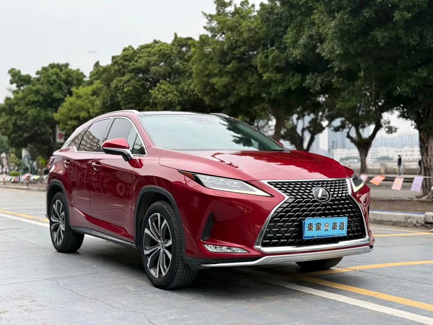 Lexus RX 2020 300 4WD Elegance Edition China VI фото 3