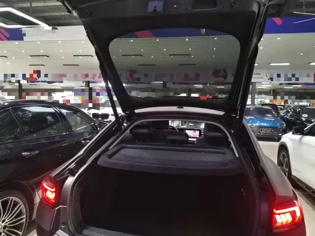 VOLKSWAGEN LINGDU