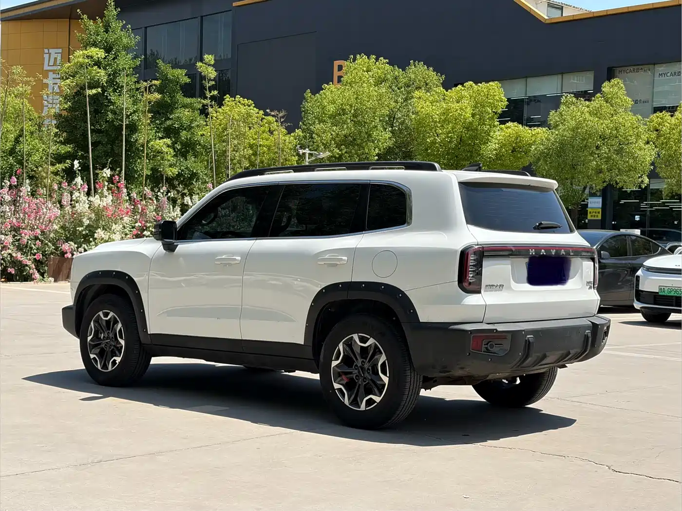 Haval Big Dog 2024 2.0T DCT Chinese Rural Dog Edition фото 16