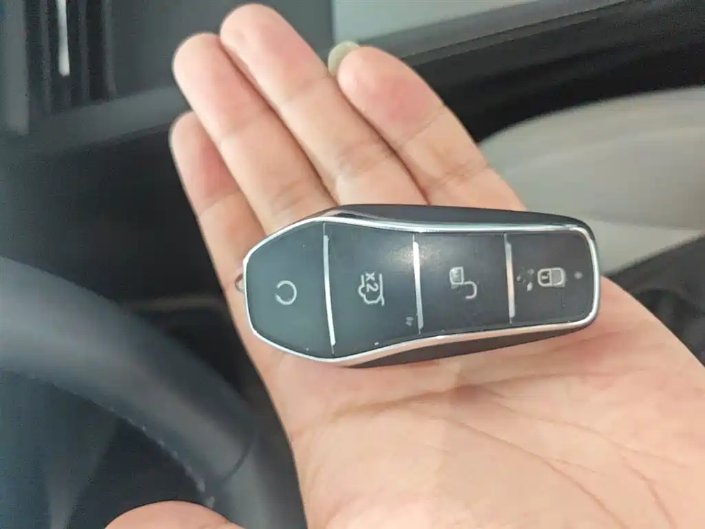 BYD Seal 06 New Energy 2024 DM-i 120KM Premium фото 9