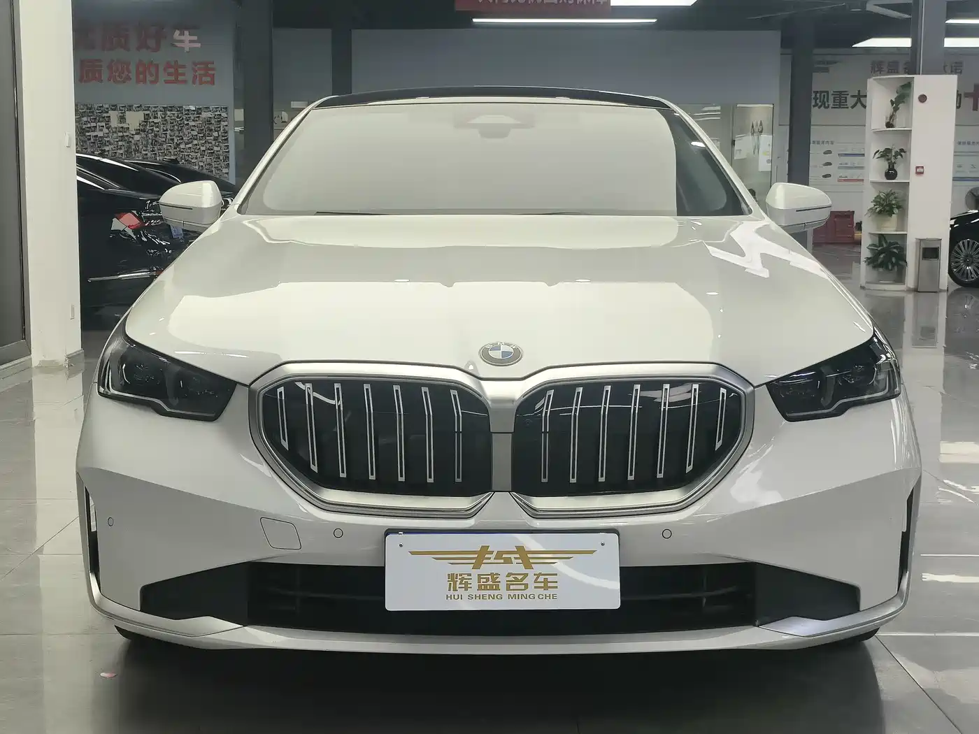 BMW 5 Series 2025 530Li Leading Luxury Package фото 2