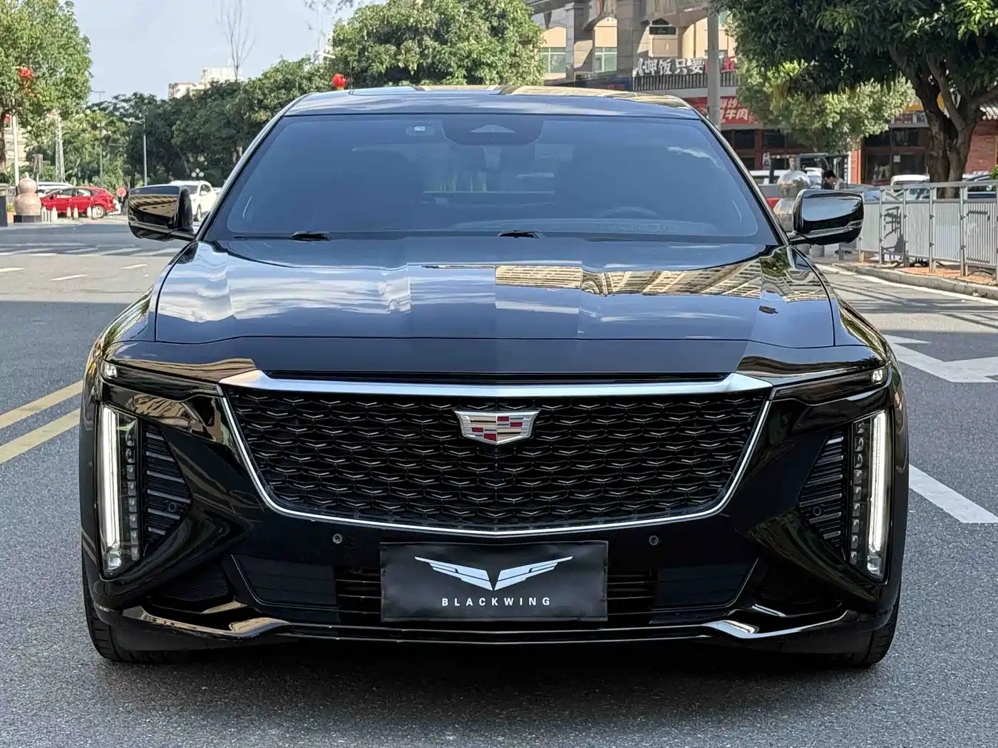 Cadillac CT6 2023 28T Premium Model фото 2