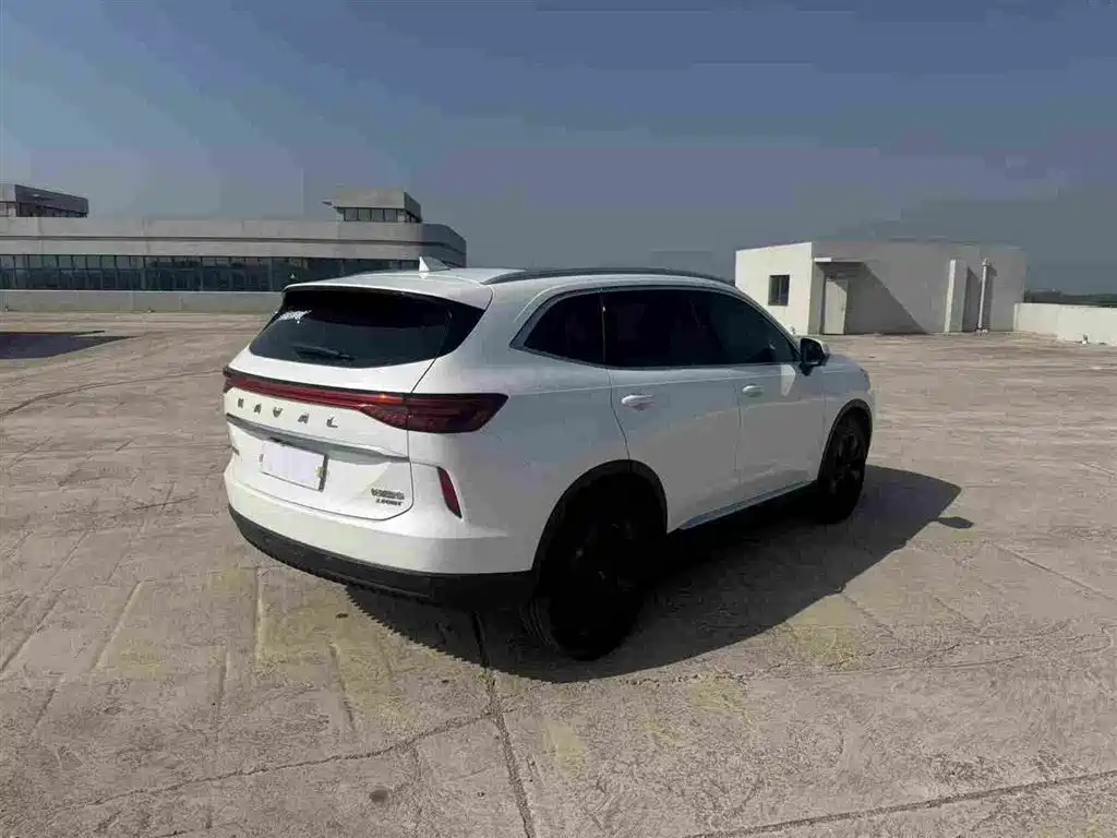 Haval H6 2021 3rd Generation 2.0T Auto AWD Max фото 7