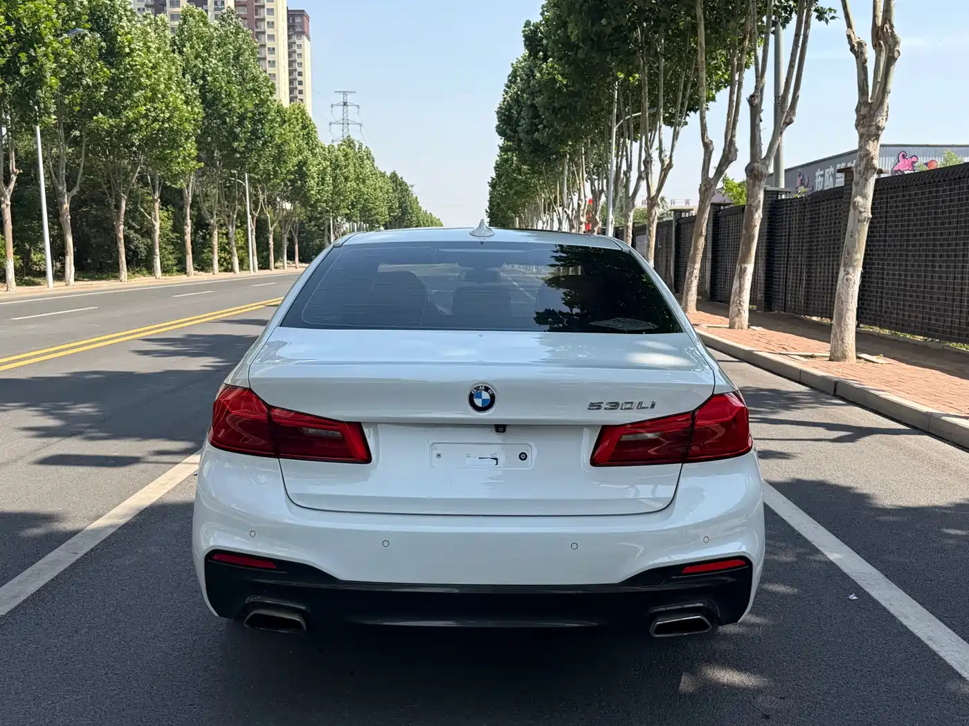 BMW 5 Series 2019 530Li Leading M Sport Package фото 4