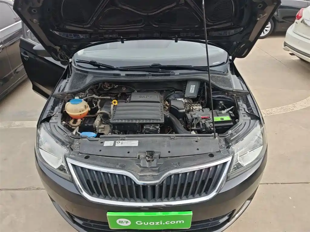 Škoda Rapid 2015 1.4L Manual Joy Selection фото 20