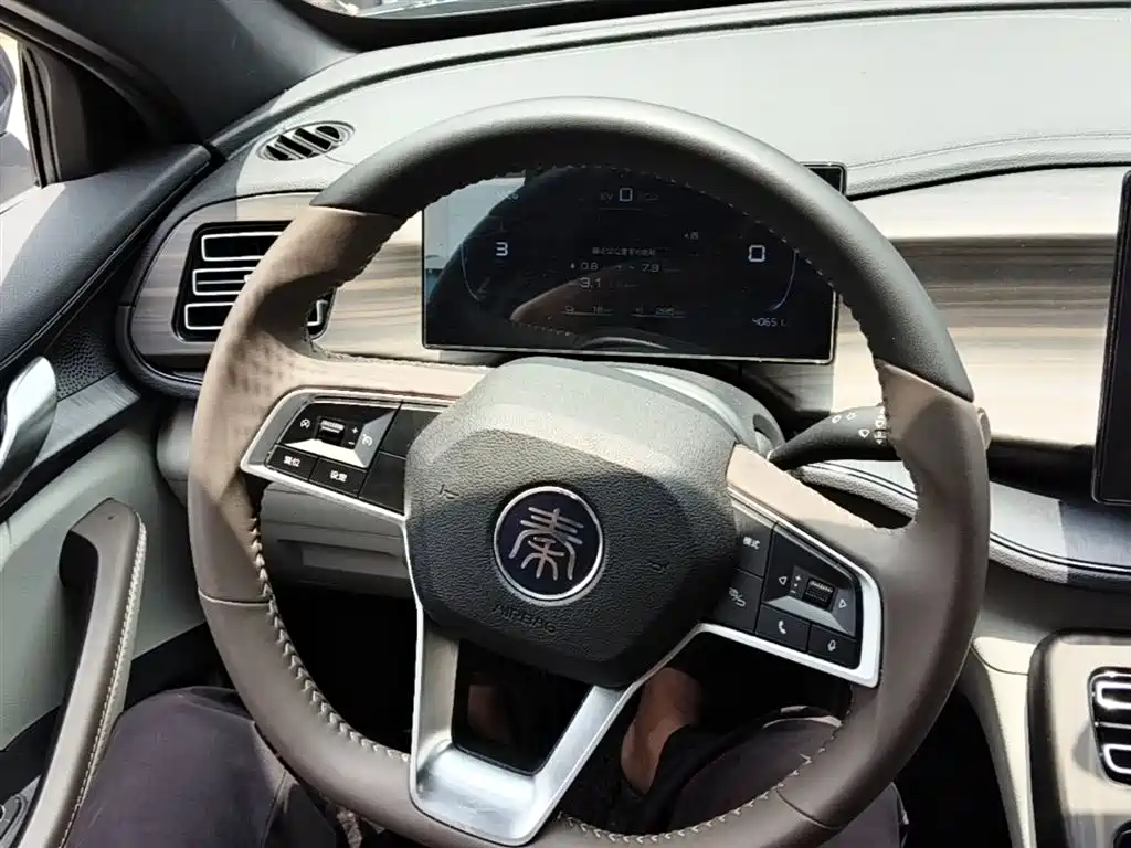 BYD Qin PLUS 2024 Glory Edition DM-i 55KM Leading фото 11
