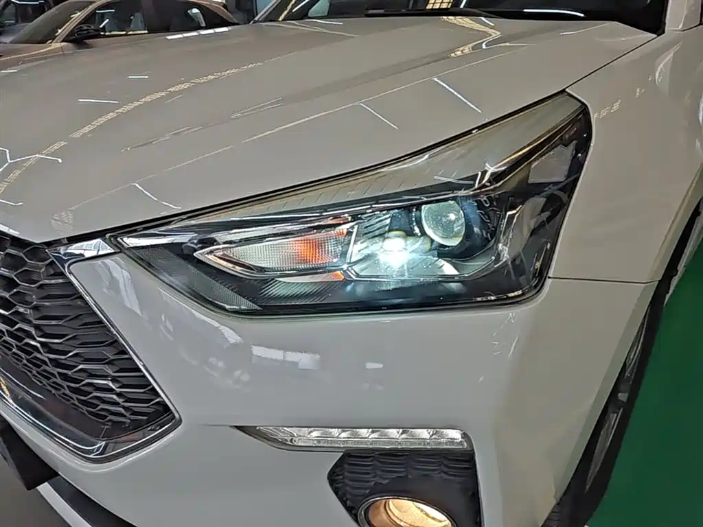 Haval H6 Coupe 2018 Red Label 1.5T Auto 2WD Luxury Edition фото 24