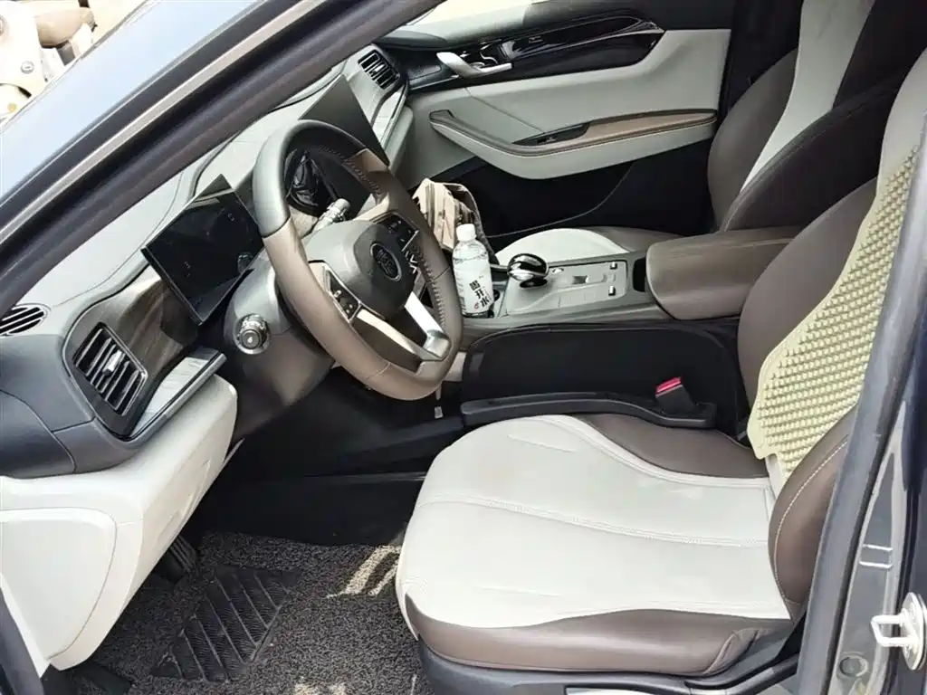 BYD Qin PLUS 2024 Glory Edition DM-i 55KM Leading фото 15