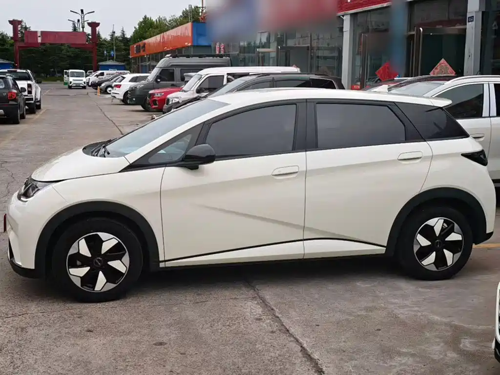 Фото 4 - BYD Dolphin