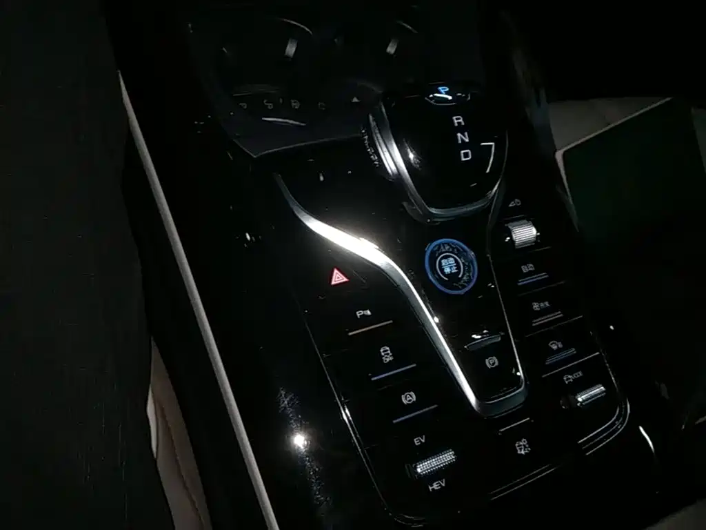 BYD Qin PLUS 2024 Glory Edition DM-i 55KM Leading фото 14