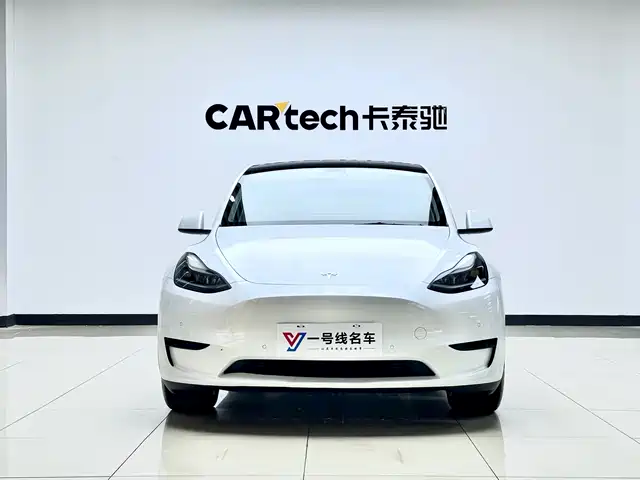 Tesla Model Y Задний привод