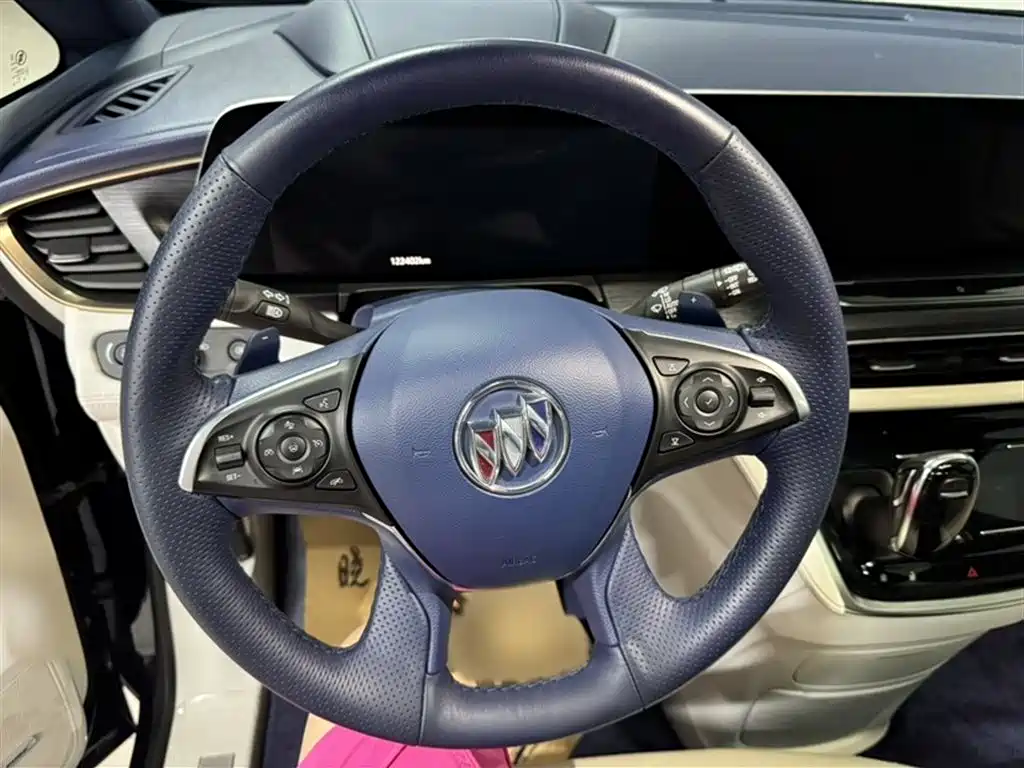Buick GL8 2020 Avenir Four-Seat Prestige Edition фото 14