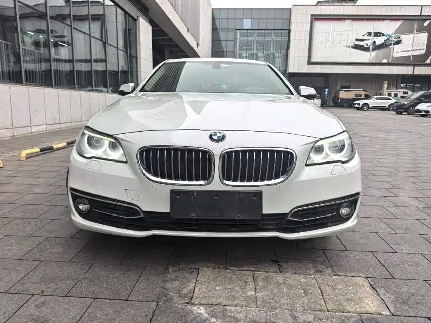 BMW 5 Series 2014 525Li Luxury Design Package фото 2