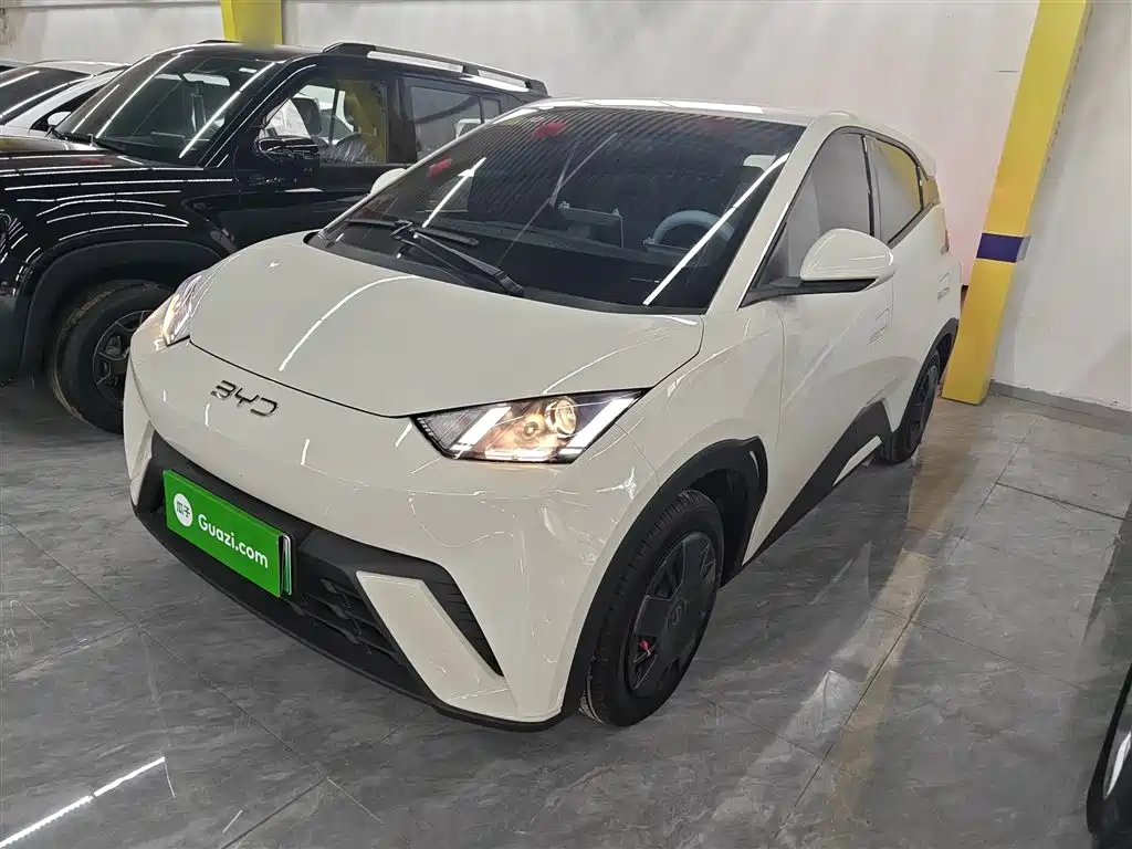 BYD Seagull 2025 305km Vitality