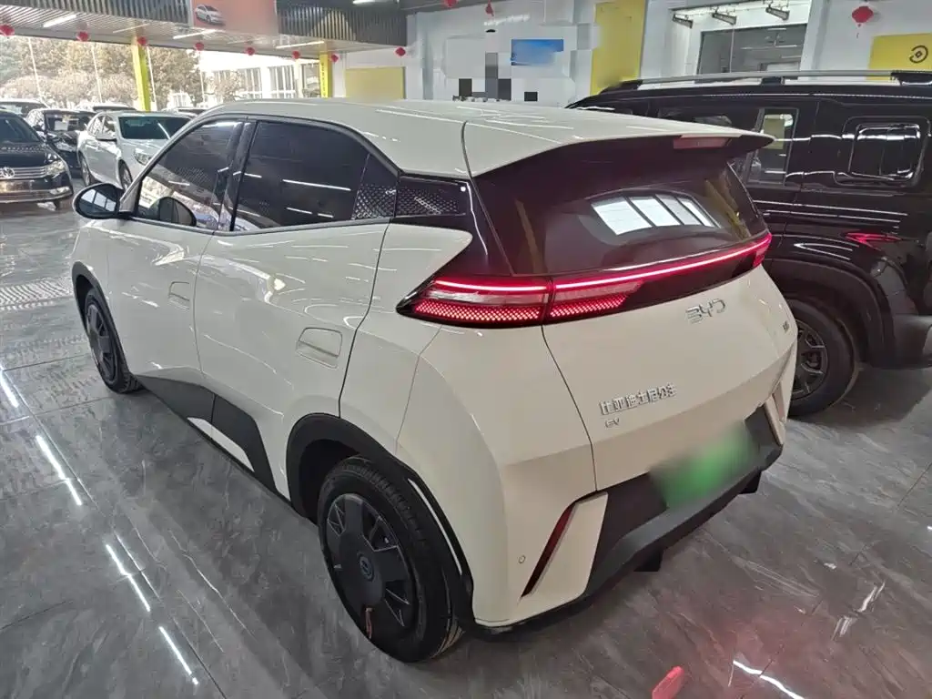 BYD Seagull 2025 305km Vitality фото 23