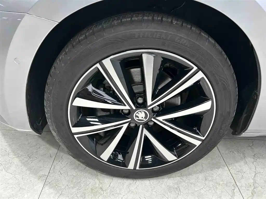 Škoda Superb 2024 TSI280 DSG Premium Edition фото 20