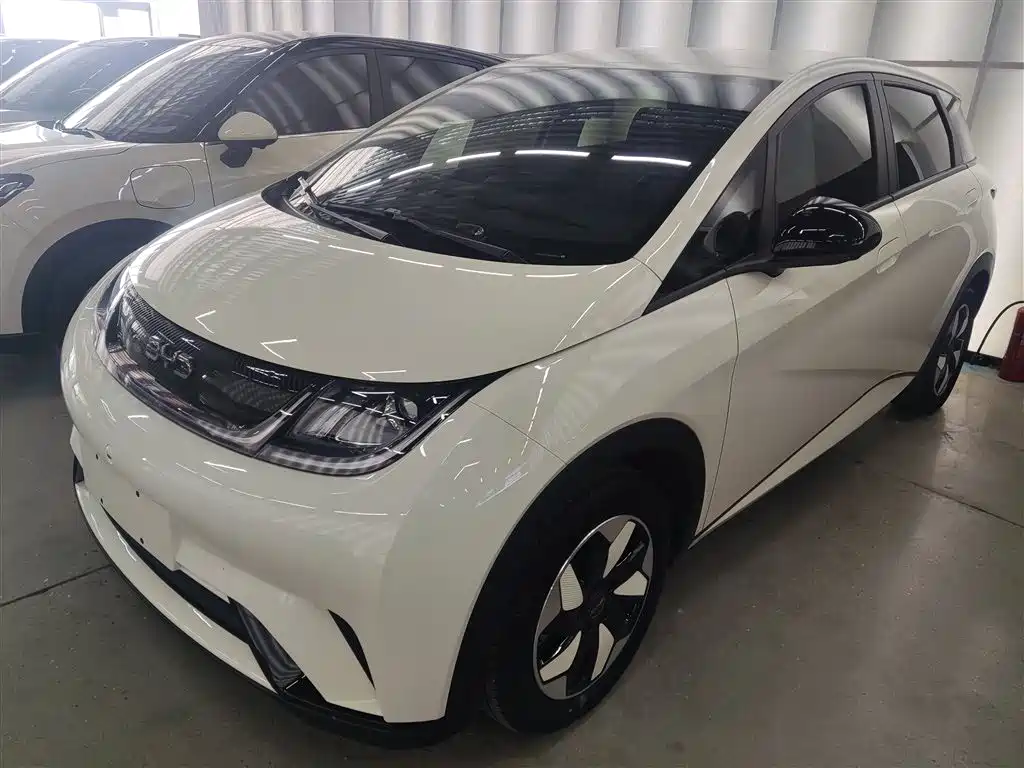 BYD Dolphin 2024 Glory Edition 420km Freedom Edition фото 2