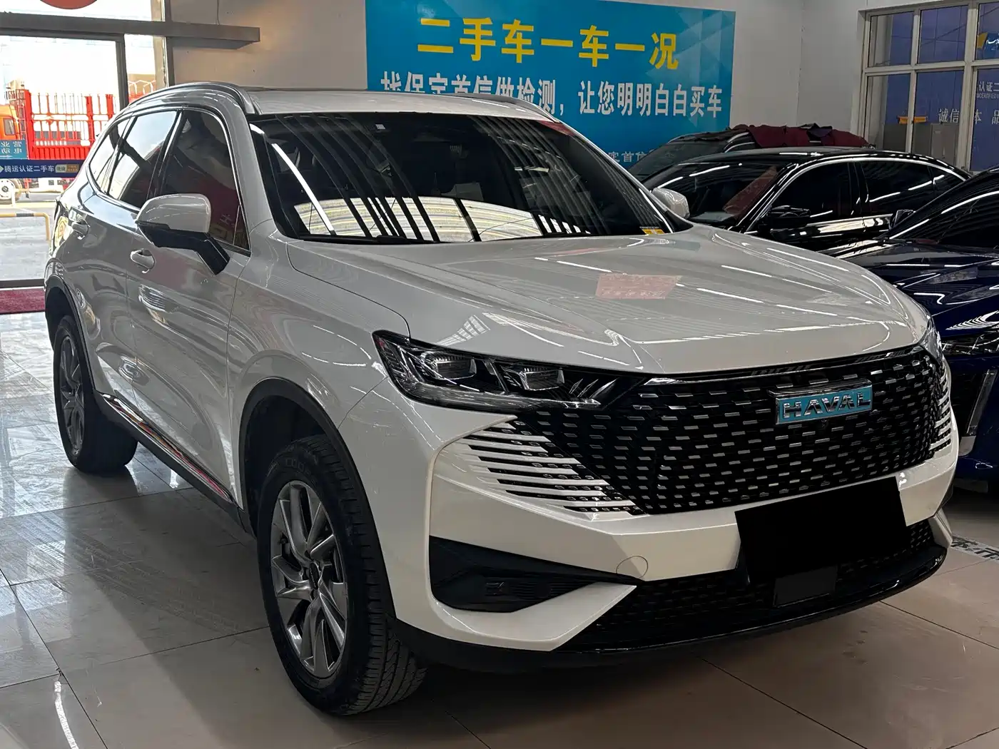 Haval H6 New Energy 2023 DHT-PHEV 55KM Joy Ride Edition фото 3