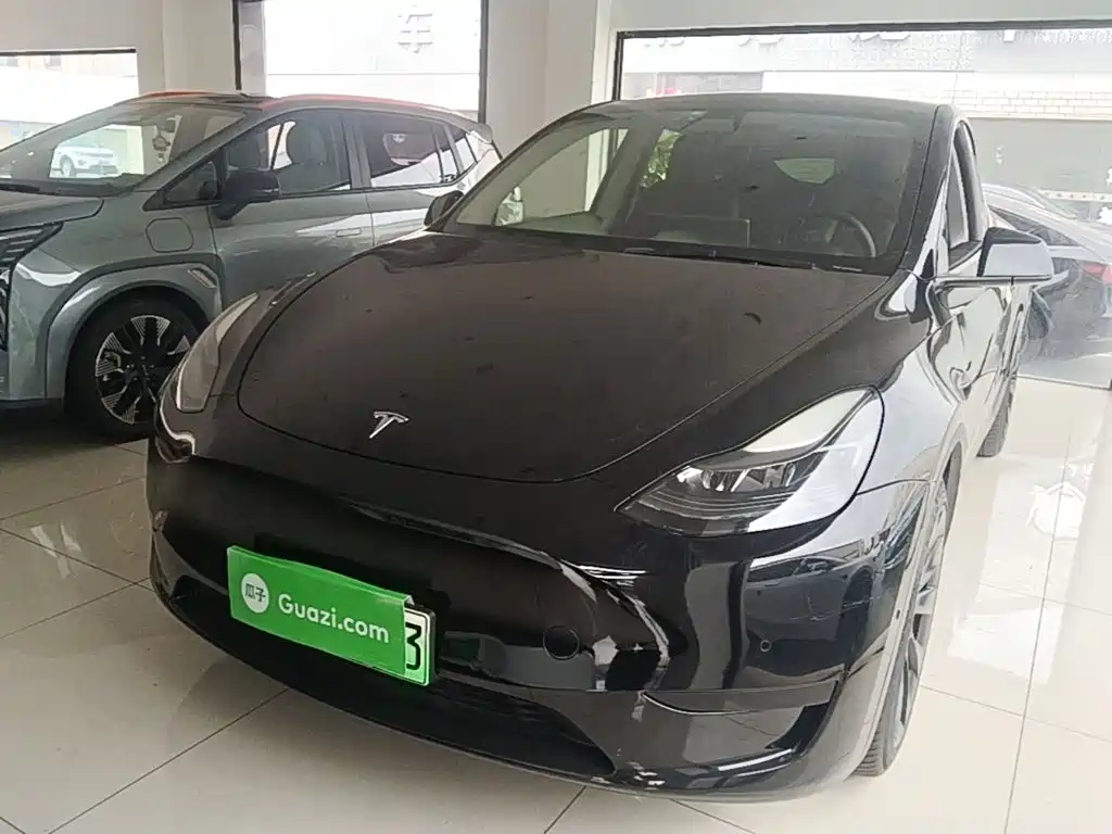 Tesla Model Y 2022 Rear-Wheel Drive Version