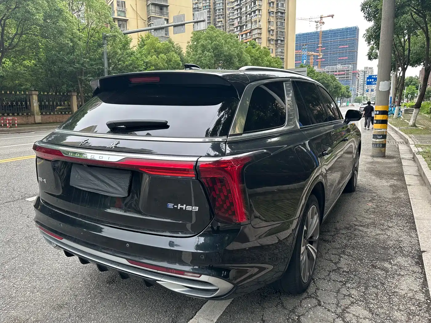 Hongqi E-HS9 2021 460km Flagship Comfort 6-seater фото 7