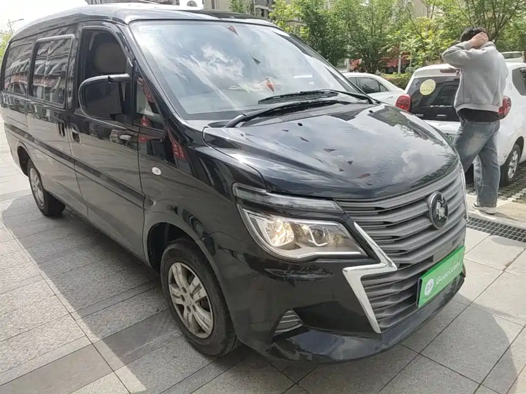 DONGFENG POPULAR LINGZHI