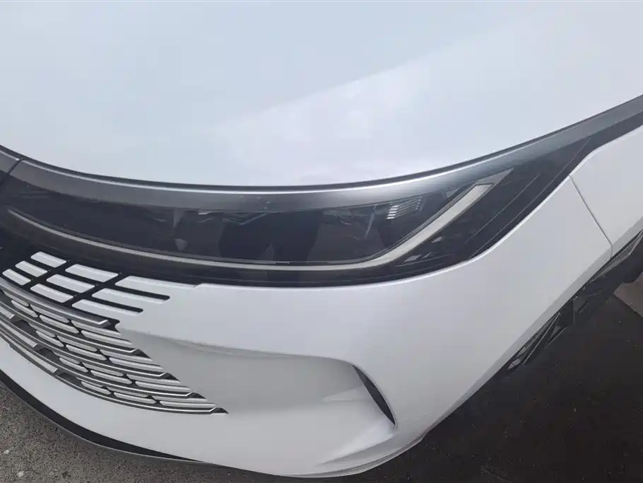 BYD Destroyer 05 2024 Glory Edition DM-i 55KM Luxury фото 5
