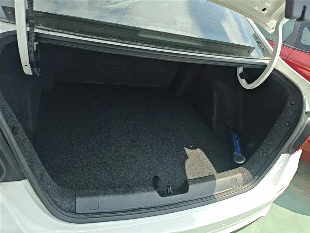 Chevrolet Cavalier 2019 320 Auto Sunroof Enjoyment Edition фото 19