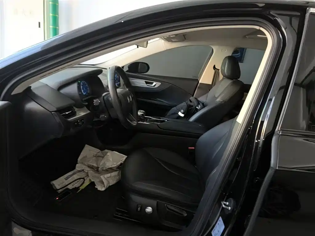 Hongqi E-QM5 2023 620km PLUS фото 15