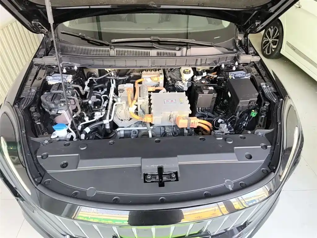 Hongqi E-QM5 2023 620km PLUS фото 20