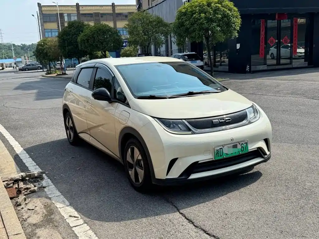Фото 3 - BYD Dolphin