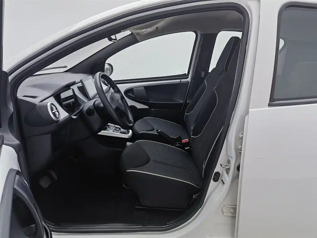 BYD e1 2020 Smart Comfort фото 10