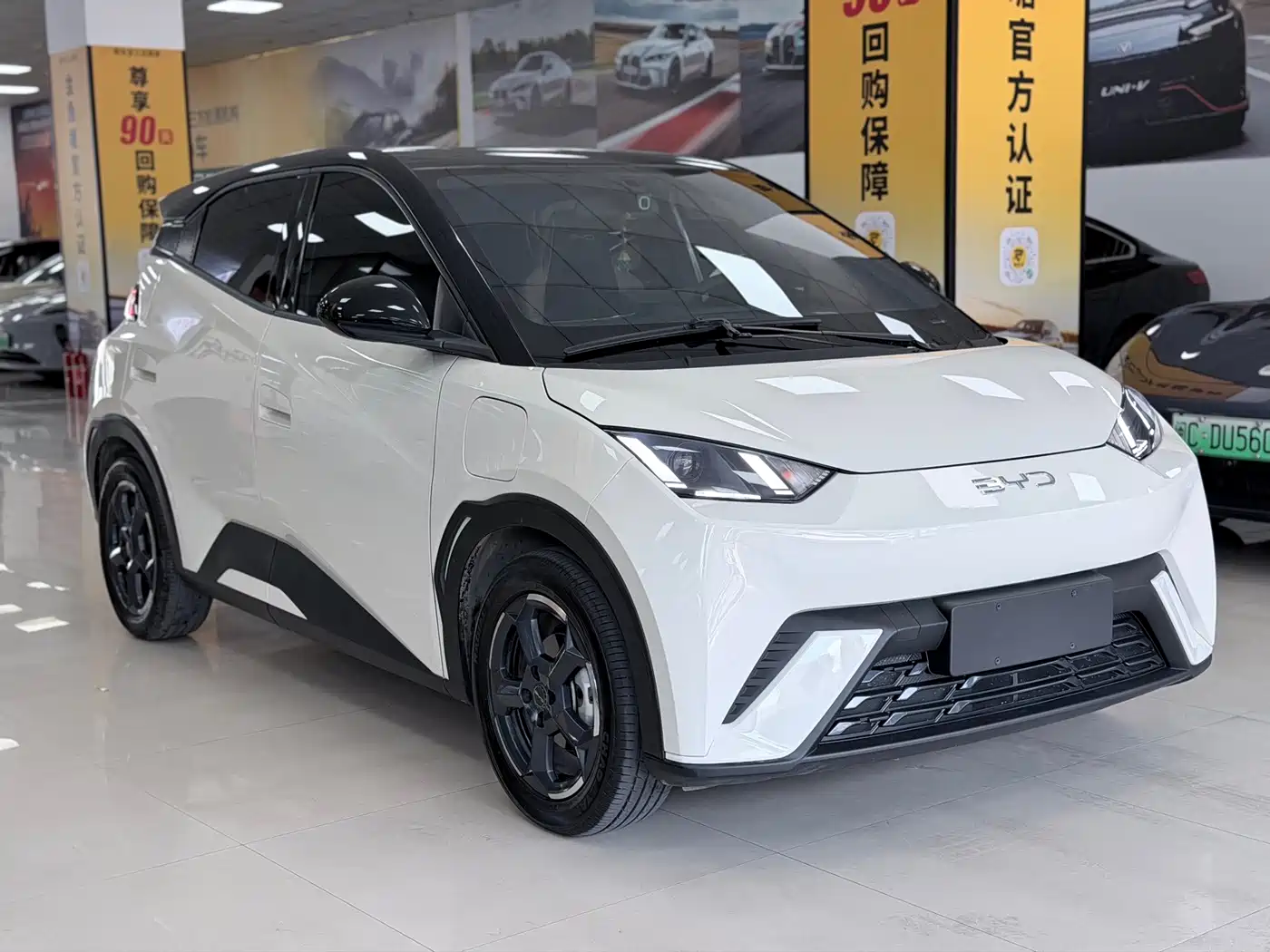 BYD Seagull 2023 2023 Freedom Edition