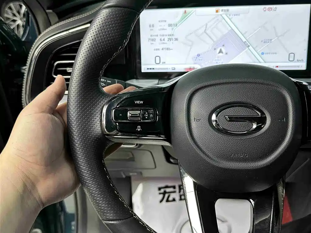 GAC Trumpchi Trumpchi GS8 2022 Dual Engine Series 2.0TM 2WD Premium Edition (6-Seater) фото 24