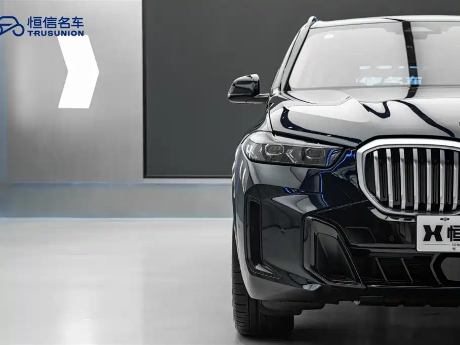 BMW X5 2023 xDrive 30Li Premium M Sport Black Night Package фото 4