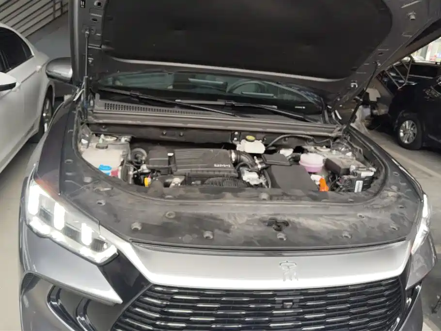 BYD Song Pro New Energy 2024 Glory Edition DM-i 71KM Pilot фото 10