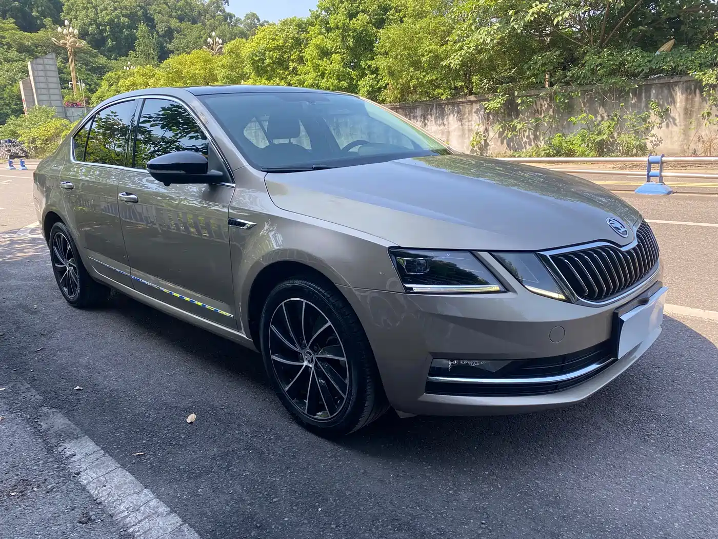 Škoda Octavia 2018 TSI280 DSG Luxury Edition фото 3