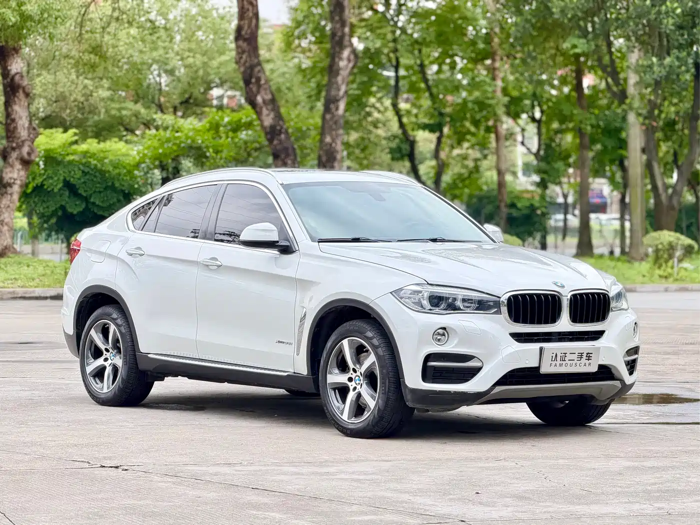 BMW X6 2015 xDrive35i Luxury Model фото 3