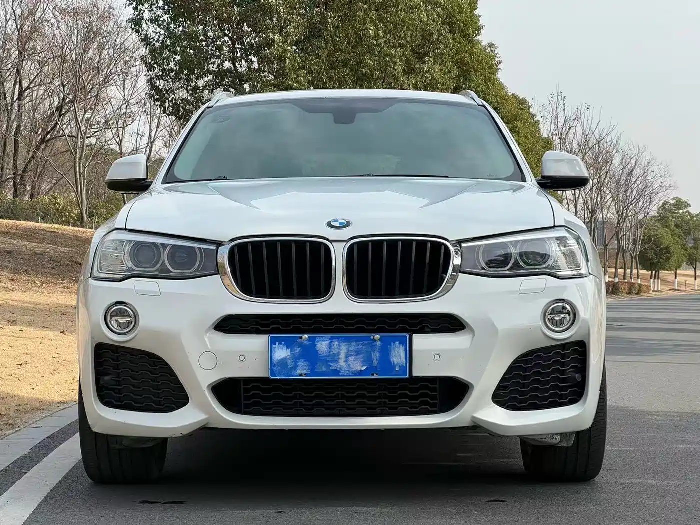 BMW X4 2016 Model xDrive20i M Sport фото 2