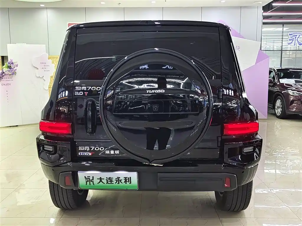 Tank 700 New Energy 2024 Hi4-T Extreme Edition фото 5