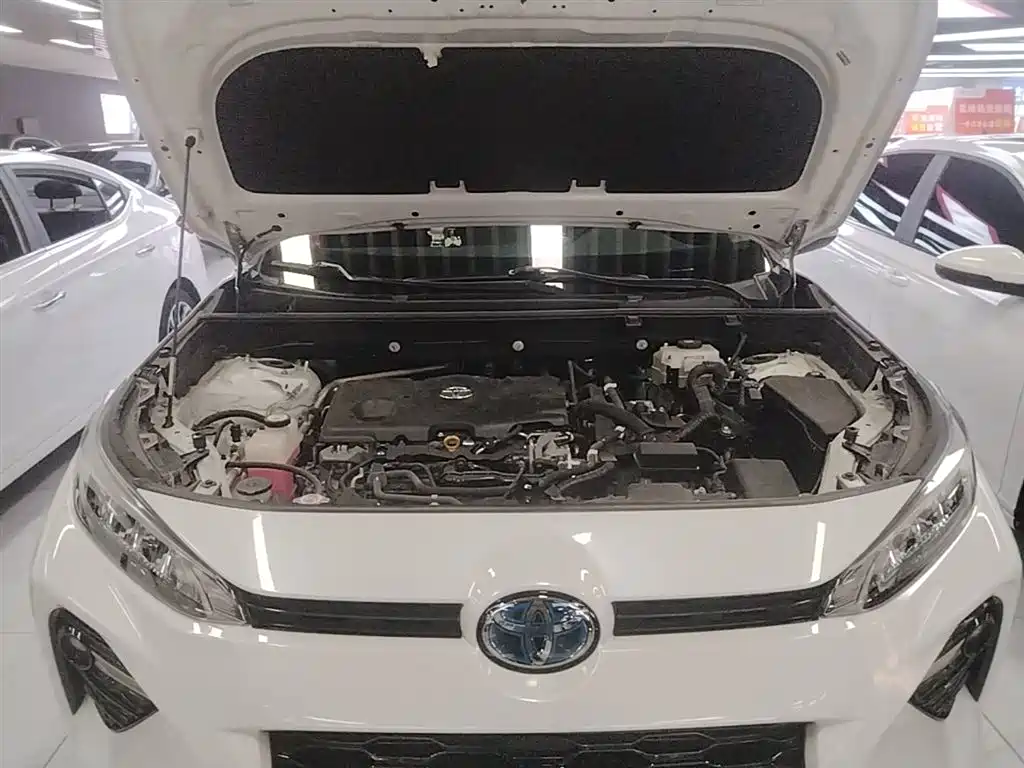 Toyota Wildlander 2020 Dual Engine 2.5L E-CVT FWD Luxury фото 20