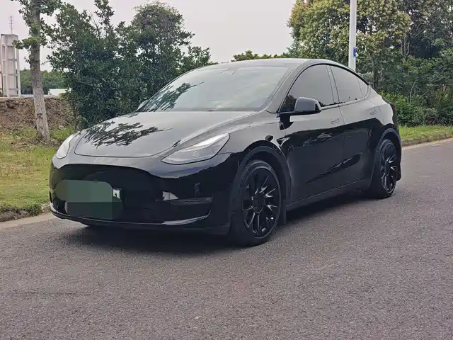 Tesla Model Y 2021 Standard Range Rear-Wheel Drive