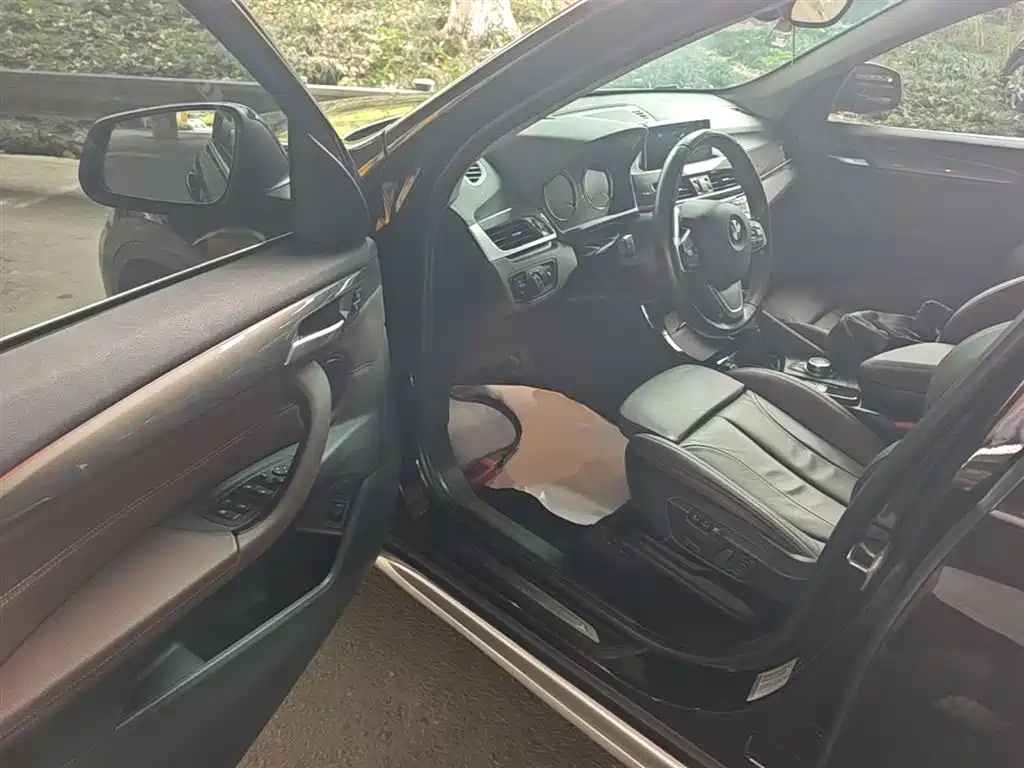 BMW X1 2019 xDrive20Li Premium Model фото 16