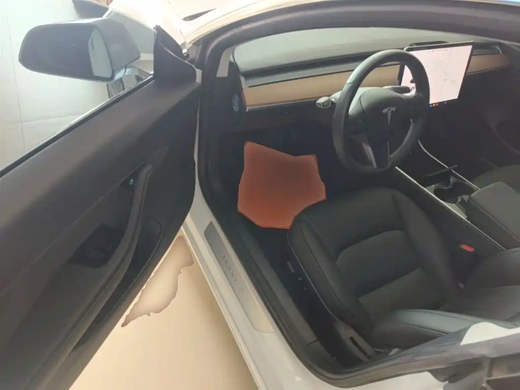 TESLA MODEL 3 (IMPORTED)