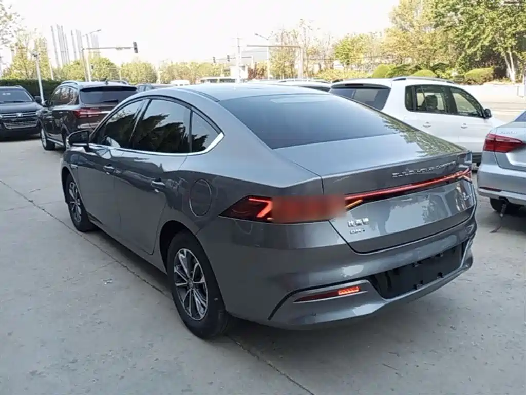BYD Qin PLUS 2024 Glory Edition DM-i 55KM Leading фото 5