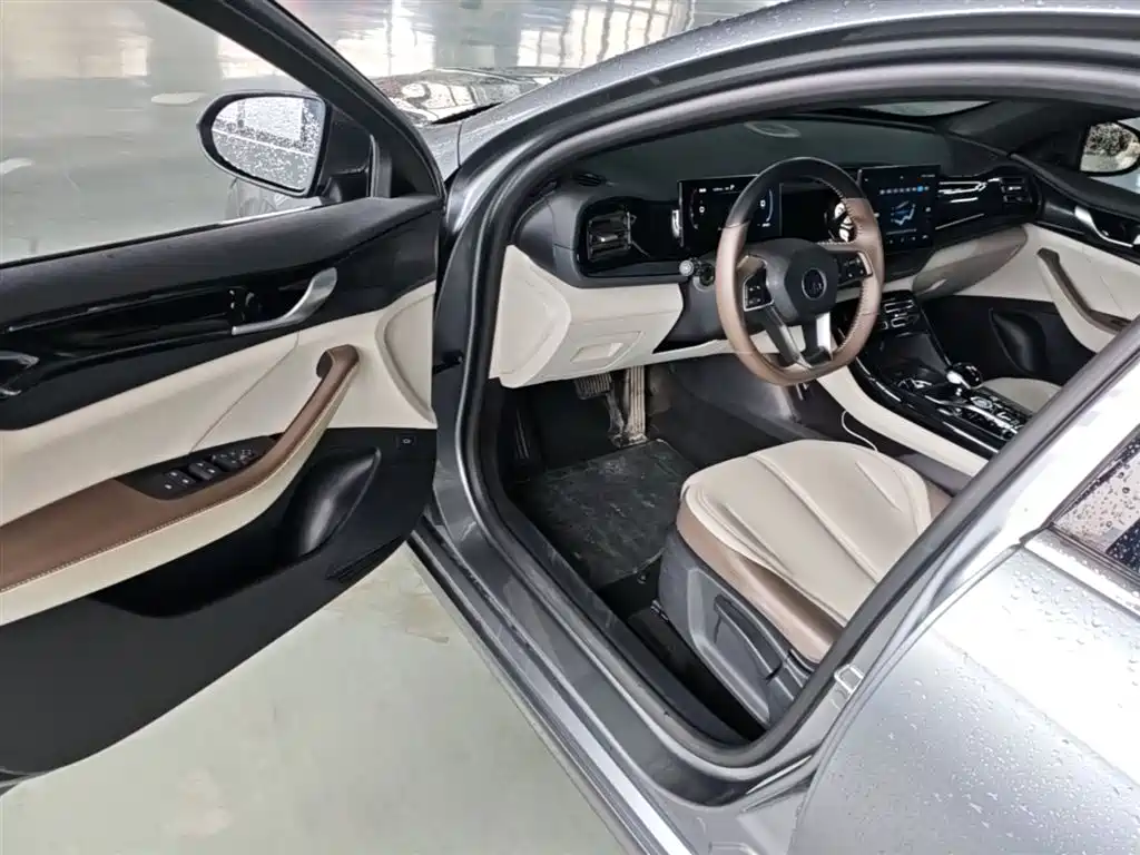 BYD Qin PLUS 2024 Glory Edition DM-i 55KM Leading фото 23