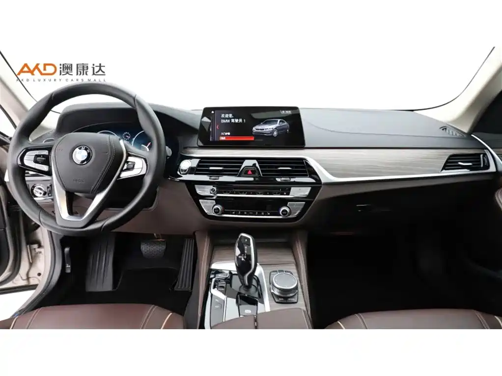 BMW 5 Series 2019 Facelift 530Li Leading Luxury Package фото 5