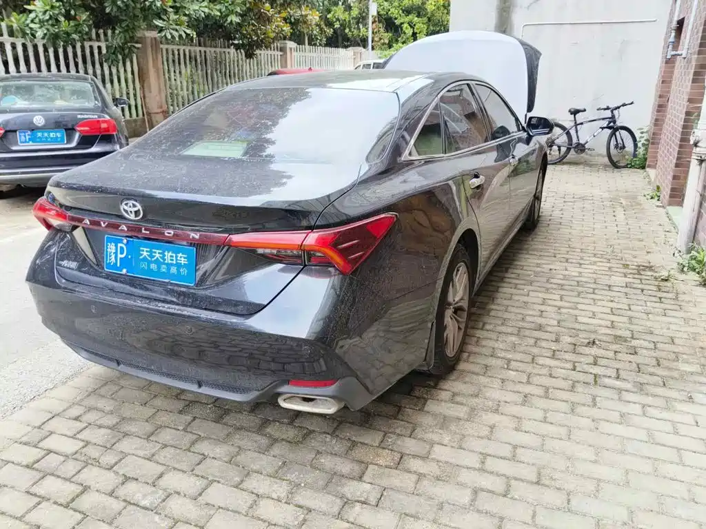 Toyota Avalon 2020 2019 2.0L Luxury Edition (China VI)