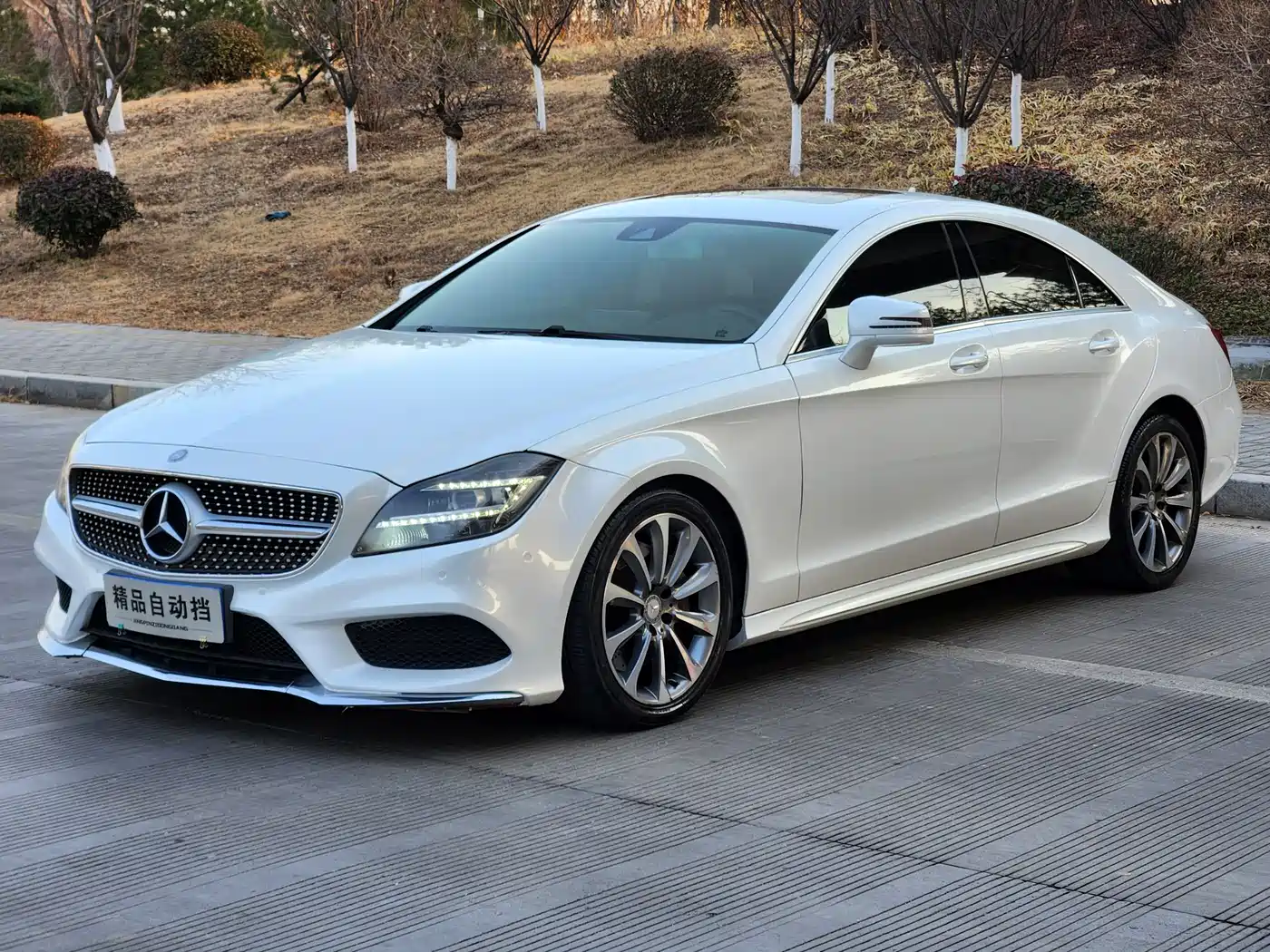 Mercedes-Benz CLS 2015 CLS 320 фото 2