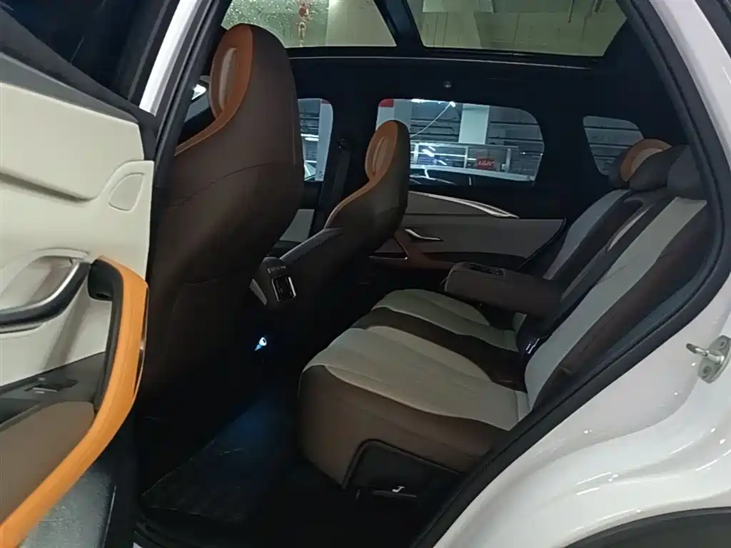 BYD Song Pro New Energy 2022 DM-i 51km Premium фото 17